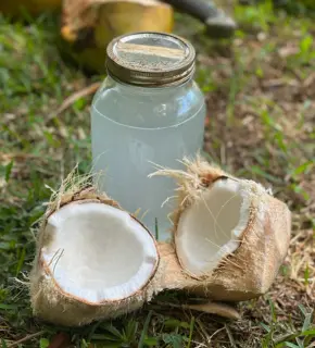 Picture of a coconut and coconut water